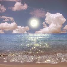 Avatar người dùng Lan